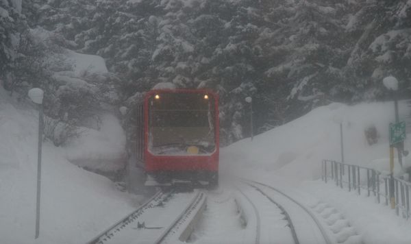 Davos